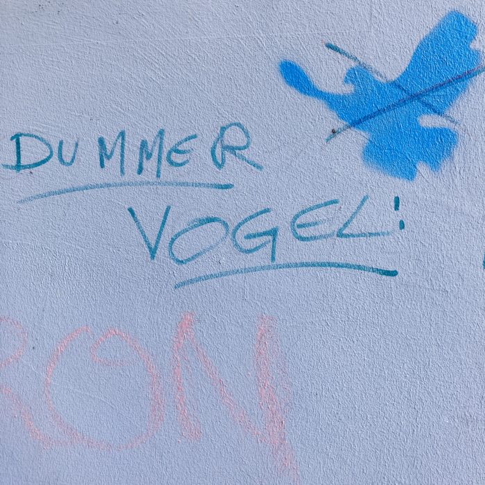 Sprühkunst, eine durchgestrichene Friedenstaube, daneben steht "Dummer Vogel"