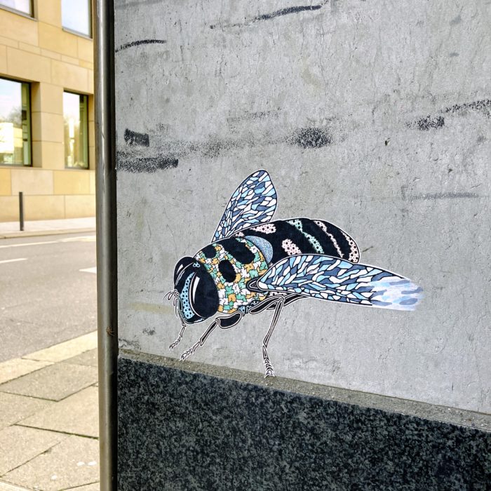 Papierklebekunst an einer Hauswand, eine bunte Fliege