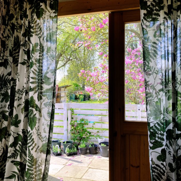 Der Blick aus unserer gartenlaube auf Grün und Blüh