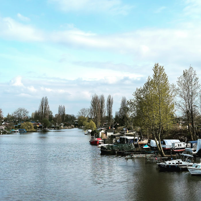 Schiffe am Ufer der Billerhuder Insel, ergrünende Bäume am Ufer