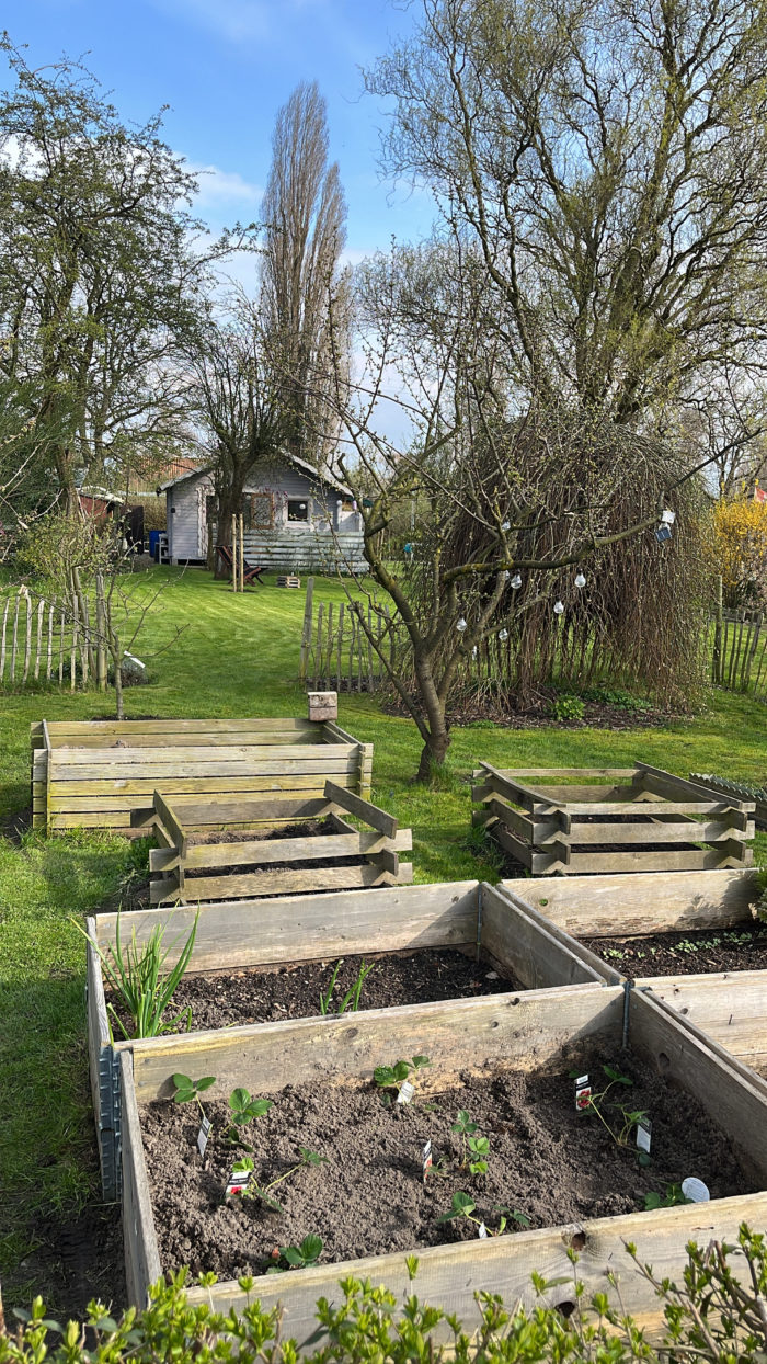 Einige Beete vor einer Gartenlaube