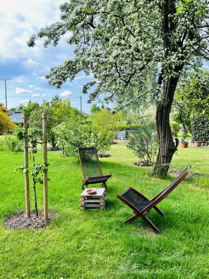 Zwei Holzstühle im Schrebergarten