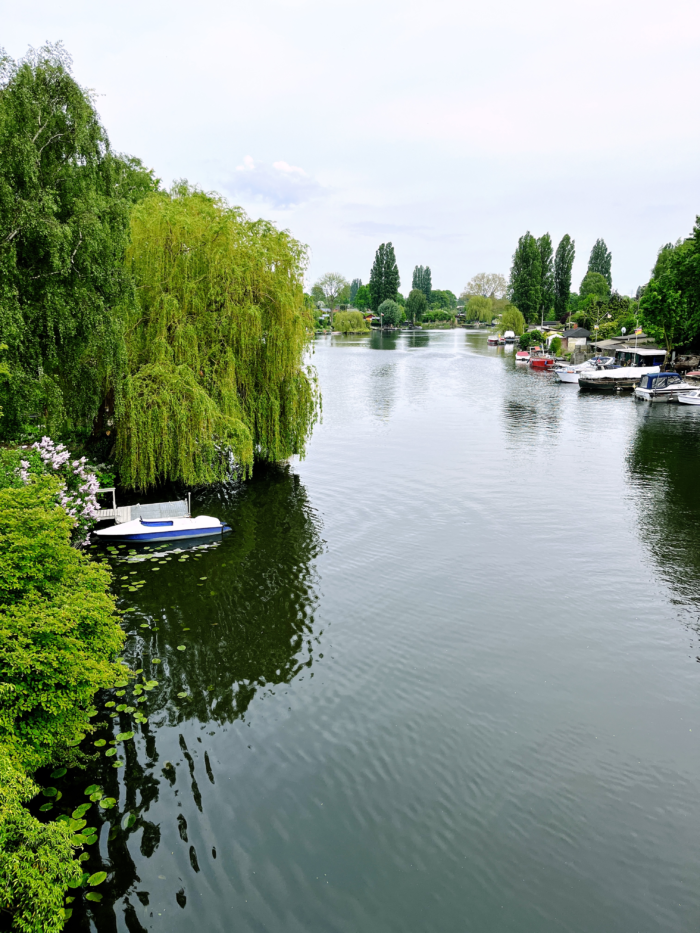 Die Bille an der Billerhuder Insel