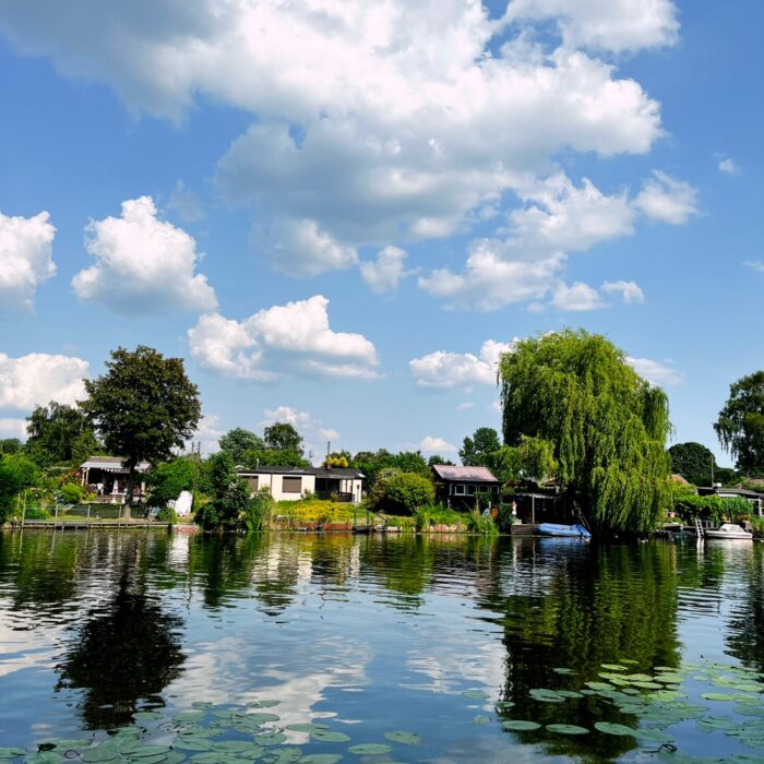 Das Ufer der Bille an der Billerhuder Insel, Weiden und Lauben, einige Wolken, Seerosen im Wasser