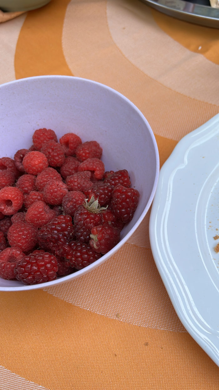 Eine kleine Schüssel voller eben gepflückter Himbeeren