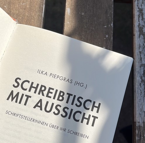 Das Titelblatt von Ilka Piepgrass (Herausgeberin): Schreibtisch mit Aussicht - Schriftstellerinnen über ihr Schreiben