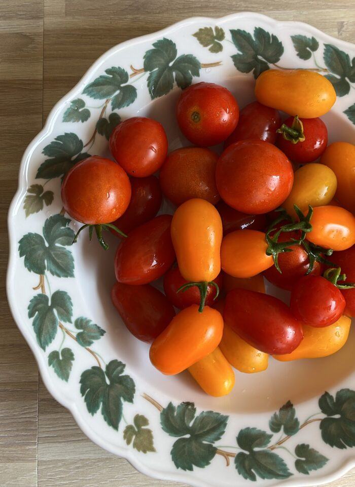 Ein Teller mit frisch geernteten Tomaten