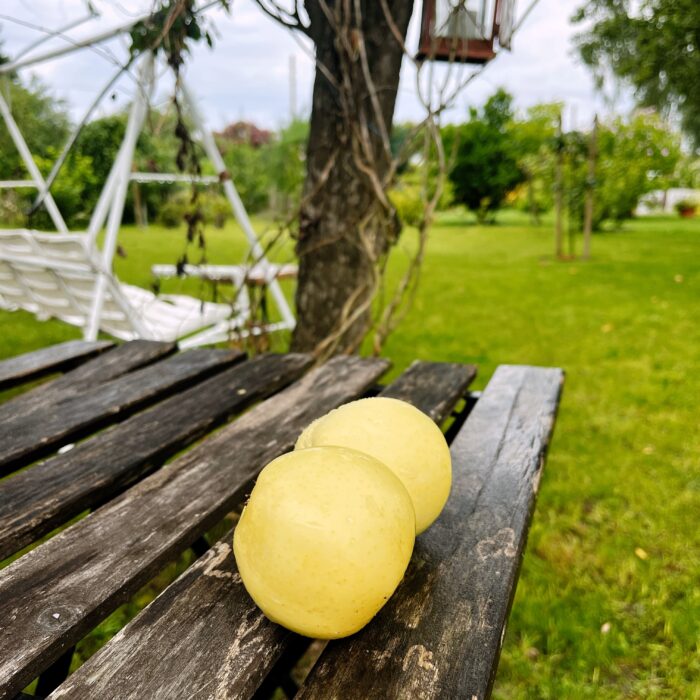 Zwei Augustäpfel auf einem alten Gartentisch