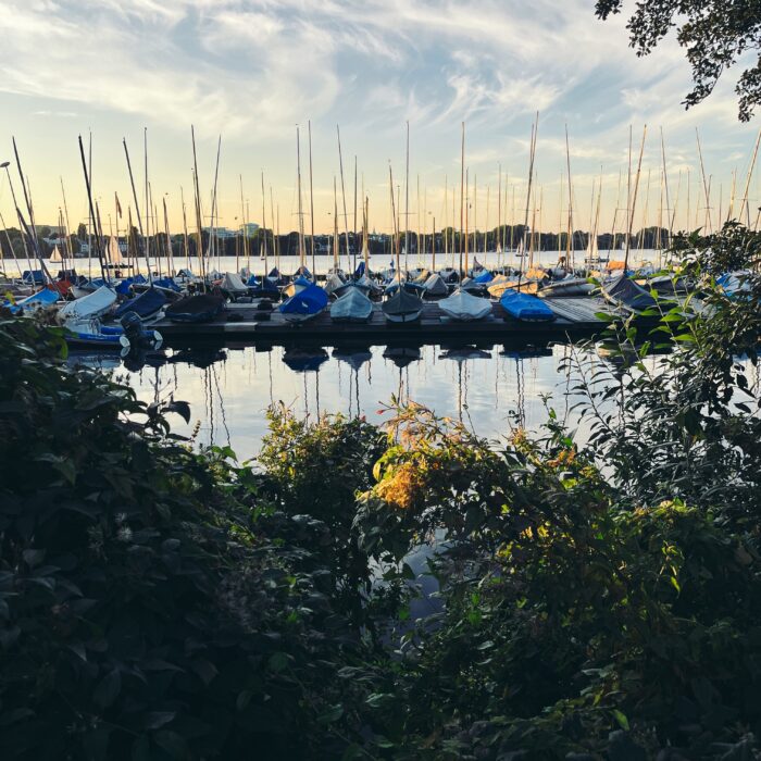 Segelboote an einem Steg an der abendlichen Außenalster, mit Planen abgedeckt, Sonnenuntergangslicht