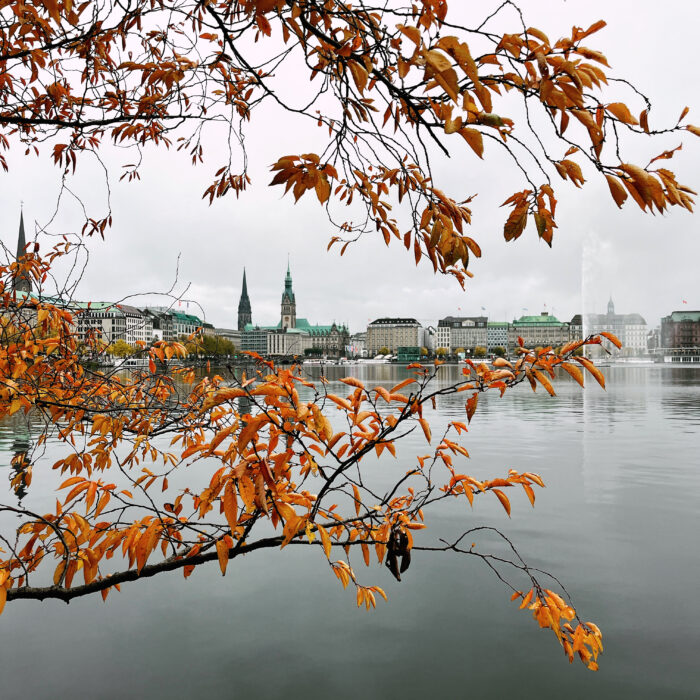Blick durch Hwerbstlaub über die Binnenalster auf den Jungfernstieg, im Hintergrund das Rathaus, auch im Bild die Alsterfontäne