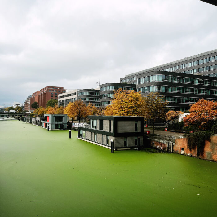 Ein FLeet in Hammerbrook, Bürobauten am Ufer, Hausboote, herbstliche Bäume und grasgrünes Wasser