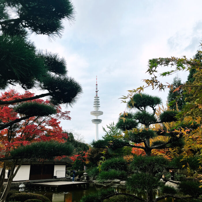 Blick aus Platen & Blomen auf den Fernsehturm, Herbstlaub, im Vordergrund das japanische Teehaus