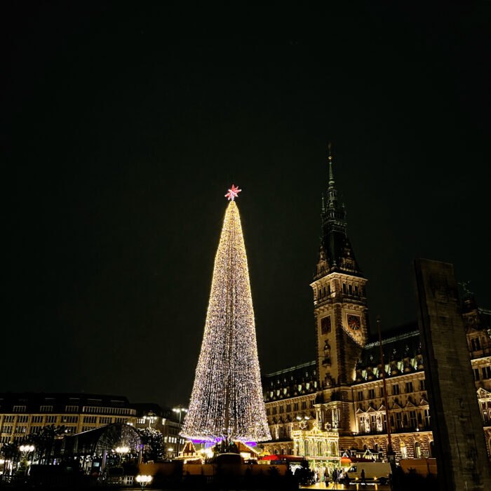 Nachtaufnahme - eine tannenbaumförmige Leuchtskulptur vor dem Hamburger Rathaus, sehr hoch, mit einem Stern an der Spitze