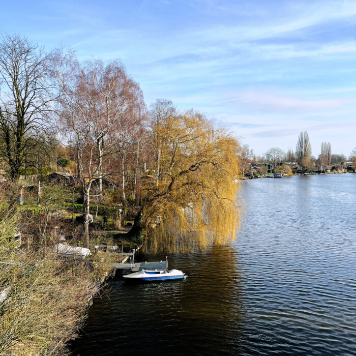 Eine Trauerweide am Ufer der Bille, darunter ein festgemachtes Tretboot.