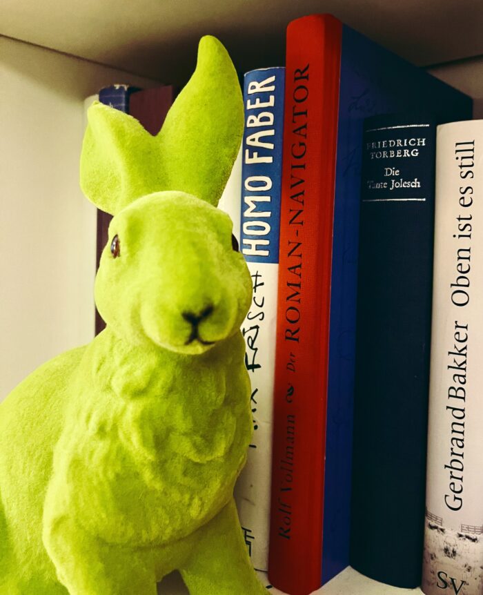 Ein grüner Dekohase vor Büchern in einem Regal