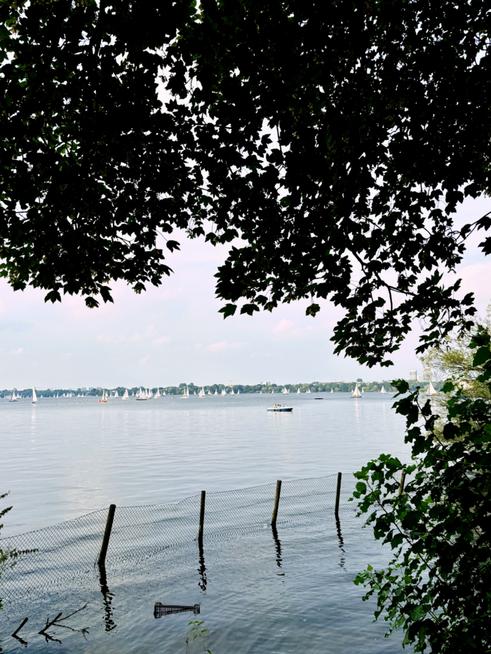 Blick über die Außenalster von der St-Georg-Seite aus. Im Hintergrund Segelboote, ein Tretboot, im Vordergrund das Laub der Bäume am Ufer.