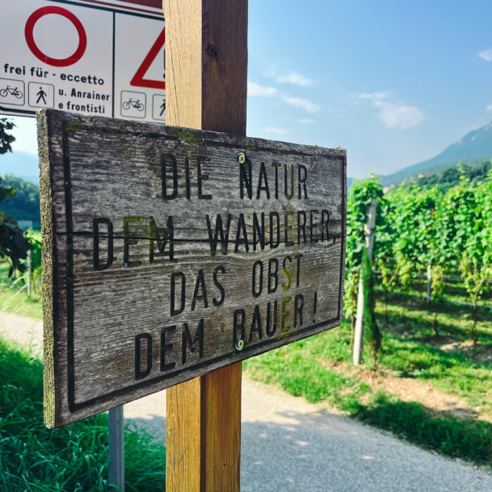 Ein Holzschild zwischen Weinbergen, darauf steht: "Die Natur dem Wanderer, das Obst dem Bauer"