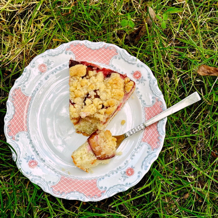 Ein angeschnittenes Stück Pflaumenkuchen auf einem sehr altmodischen Kuchenteller, der im Gras steht