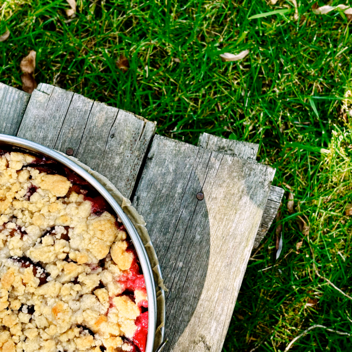 Ein Pflaumenkuchen mit Streuseln, noch in der Springform, auf einem Bretterstapel im Gras des Gartens