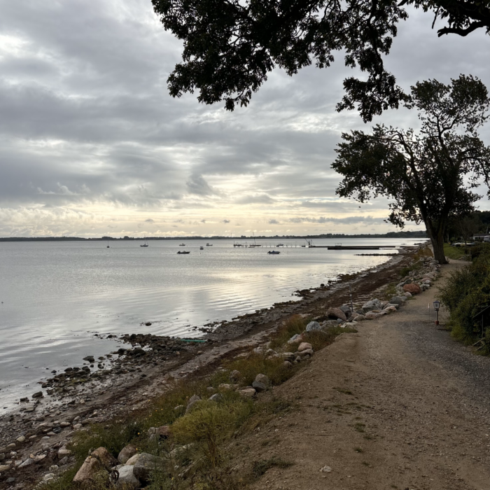 Der Strand von Steinberghaff im Morgenlicht