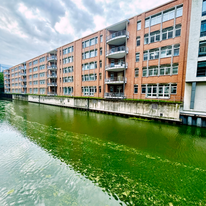 Blick über das algengrüne Wasser des Südkanals in Hammerbrook, Bürohausfassaden am Ufer