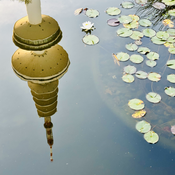 Der Hamburger Fernsehturm spiegelt sich in einem Teich in Planten un Blomen