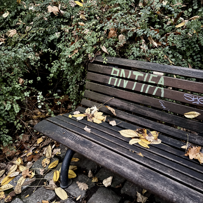 Eine Bank in Planten un Blomen, es liegt Herbstlaub darauf und auf der Rückenlehmme steht groß: Antifa.