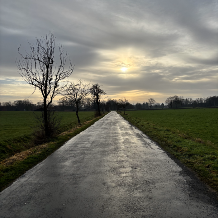 Eine leere Landstraße. kahle Obstbäume am Straßenrand, wolkenverhangener Himmel, die Sonne kurz vor dem Durchbrechen