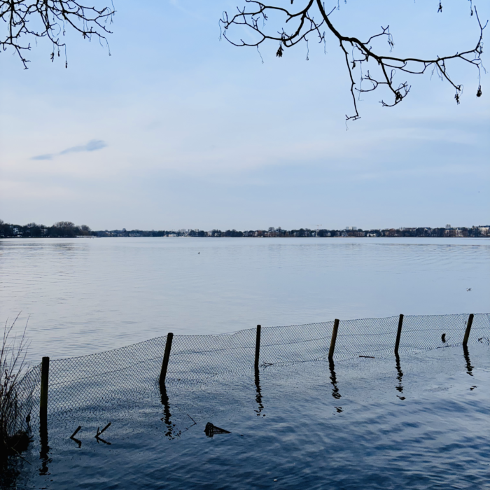 Ein halb versunkener Zaun mit Maschendraht in der Uferzone der Außenalster, eine Schutzzone um Wasservogelnester abgrenzend
