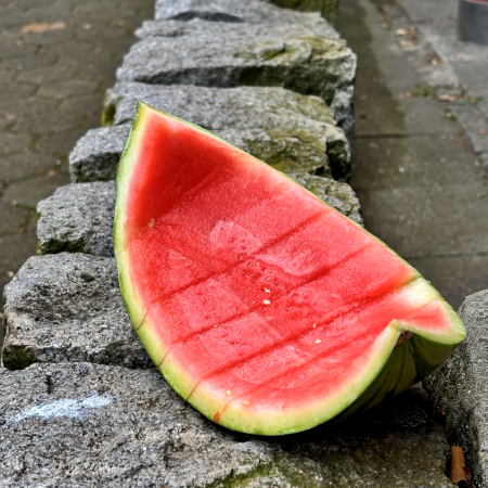Eine Melonenschale