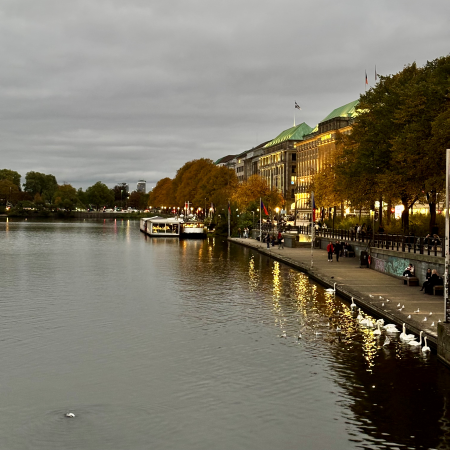 Die Binnenalster am Ballindamm in herbstlicher Anmutung, Schwäne am Ufer warten auf Futter