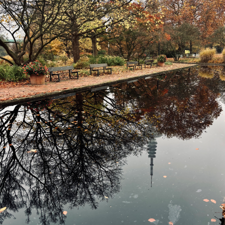 Leere Bänke unter welkem Laub in Palnten un Blomen