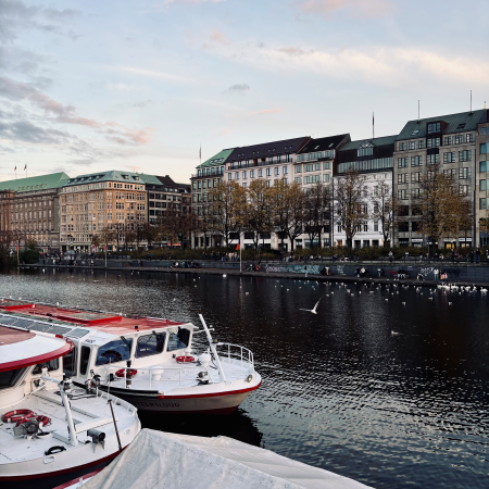 Schiffe der Weißen Flotte am Anleger Jungfernstieg