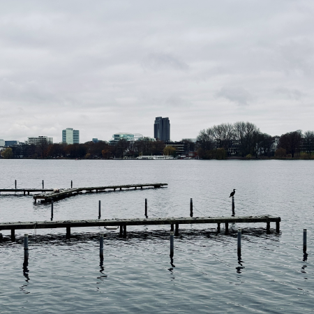Blick über die Aussenalster, im Vordergrund klein ein Kormoran auf einem Pfahl im Wasser an einem Steg