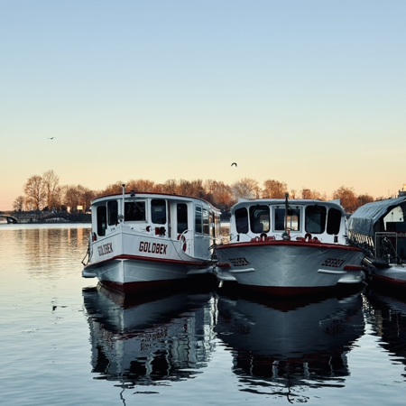 Boote der weißen Flotte am Anleger Jungfernstieg