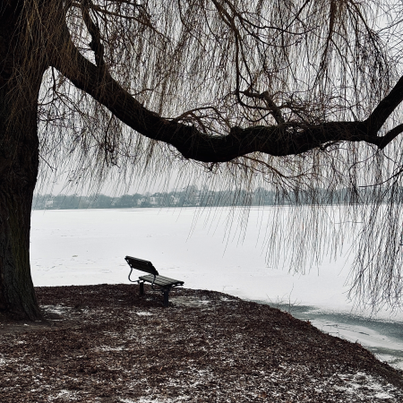 Eine einsame Bank am Alsterufer, Aussicht auf die Eisfläche