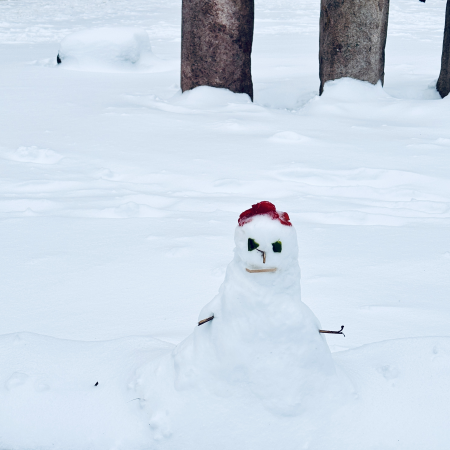 Eine sehr kleine Schneefigur