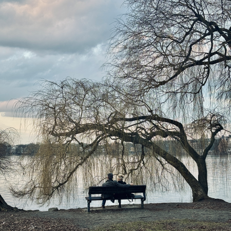 Eine Bank unter einer Weide an der Außenalster, ein Paar darauf, von hinten fotografiert