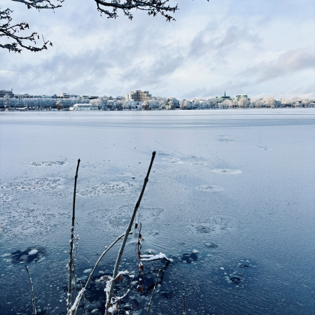 Blick über die gefrorene Außenalster vom Ostufer aus
