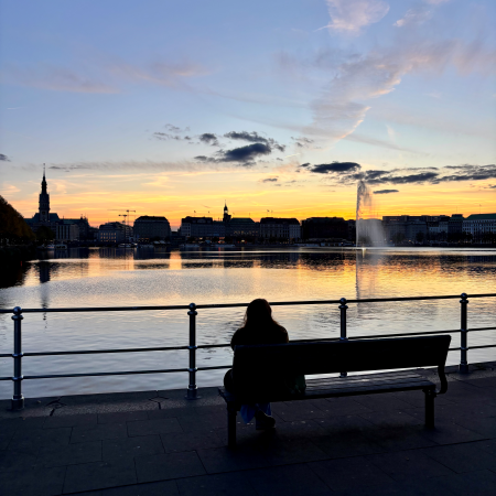 Eine Person, von hinten fotografiert, sitzt auf einer Bank vor Sonnenuntergangskulisse an der Binnenalster