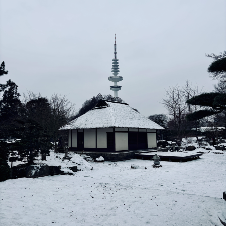 Planten un Blomen, verschneit und vereist