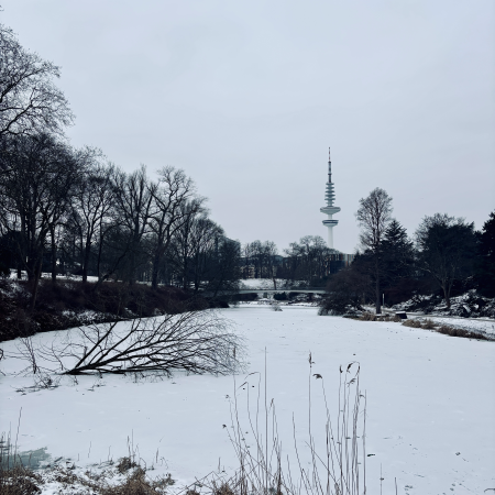 Planten un Blomen, verschneit und vereist