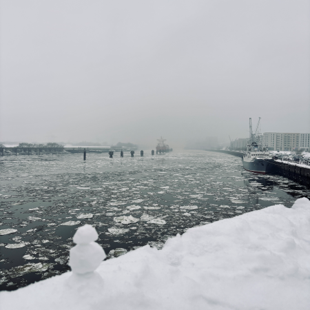 Die Elbe von der Station Elbbbrücken aus, Eis auf dem Fluss und Schnee auf den Wegen am Ufer