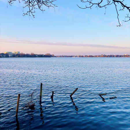 Blick über die Außenalster, im Vordergrund Wildvohgelschutzzaun im flachen Wasser, teils umgesunken