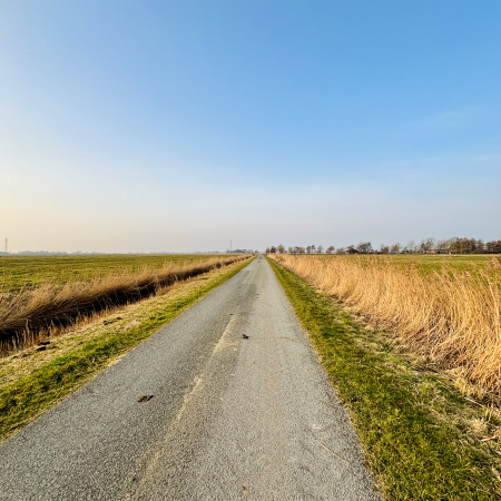 Einsame Straße auf Eiderstedt