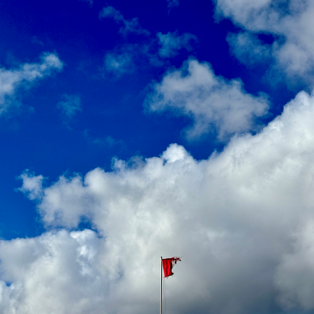 Eine im Sturm zerrissene Hamburgfahne