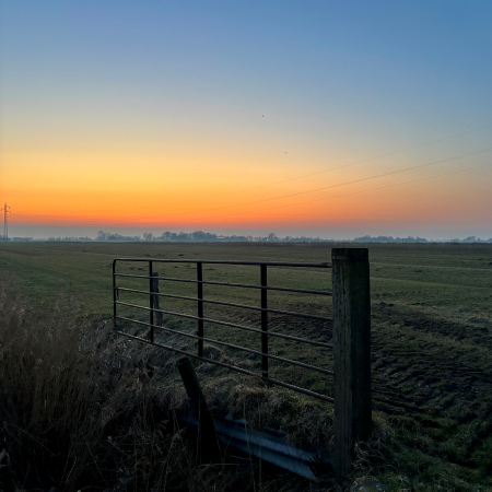 Ein Gatter und Fennen im Abendlicht
