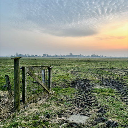 Ein offenes Gatter an einer Fenne im Abendlicht