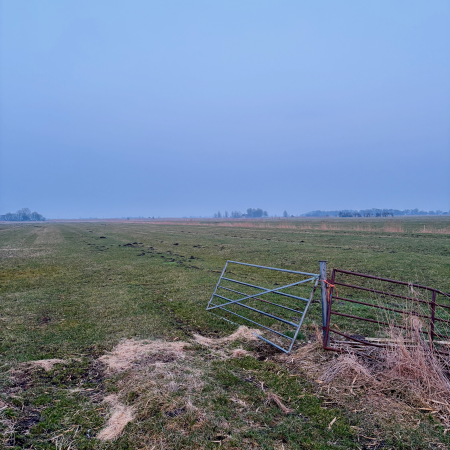 Ein Gatter an einer Fenne