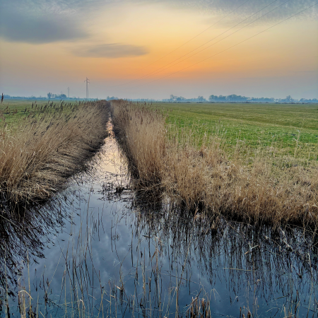Ein Graben zwischen Fennen, Spätnachmittagslicht